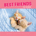 Best Friends - 2024 Square Wall Calendar Pets Animals 16 Months Premium Planner V474-615357