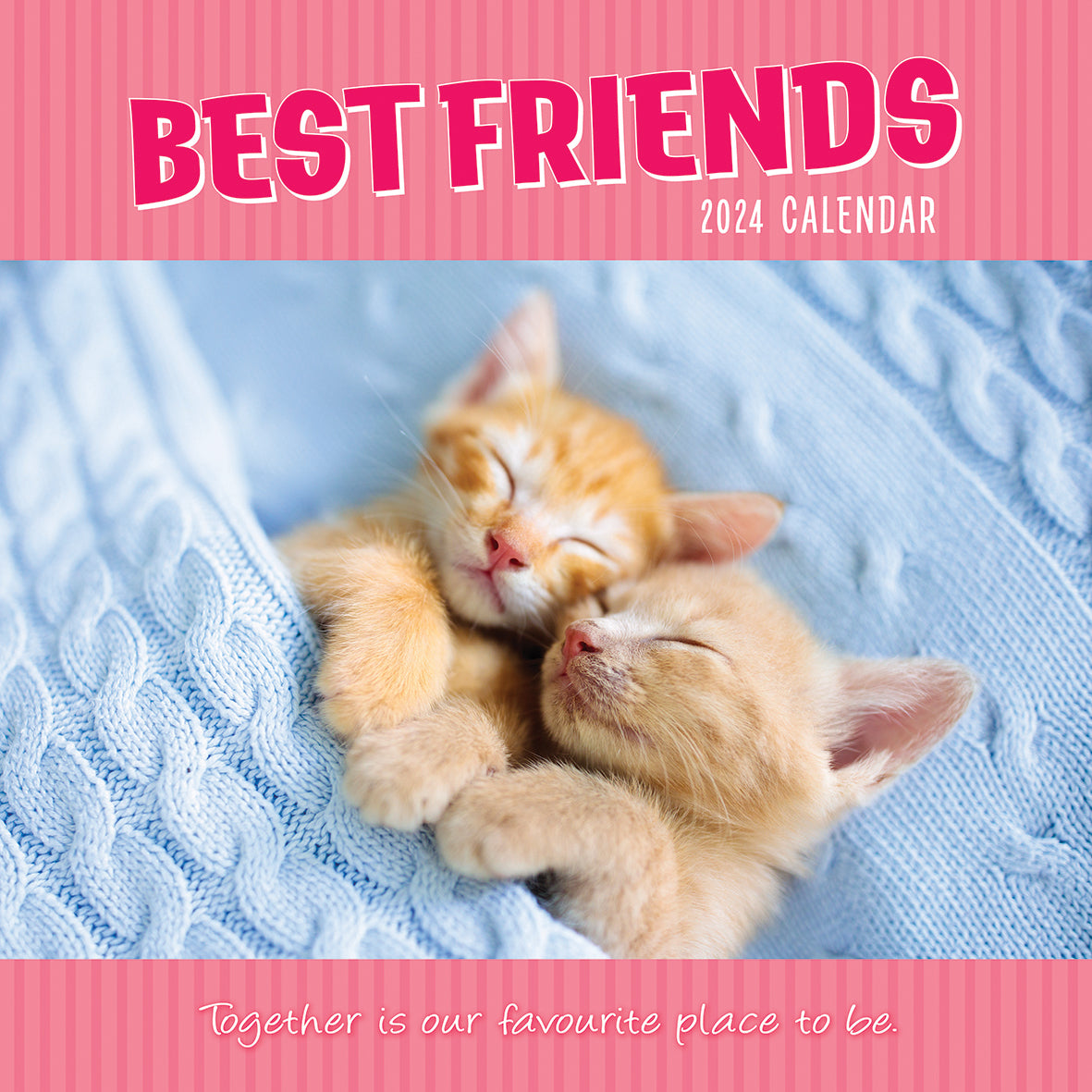 Best Friends - 2024 Square Wall Calendar Pets Animals 16 Months Premium Planner V474-615357