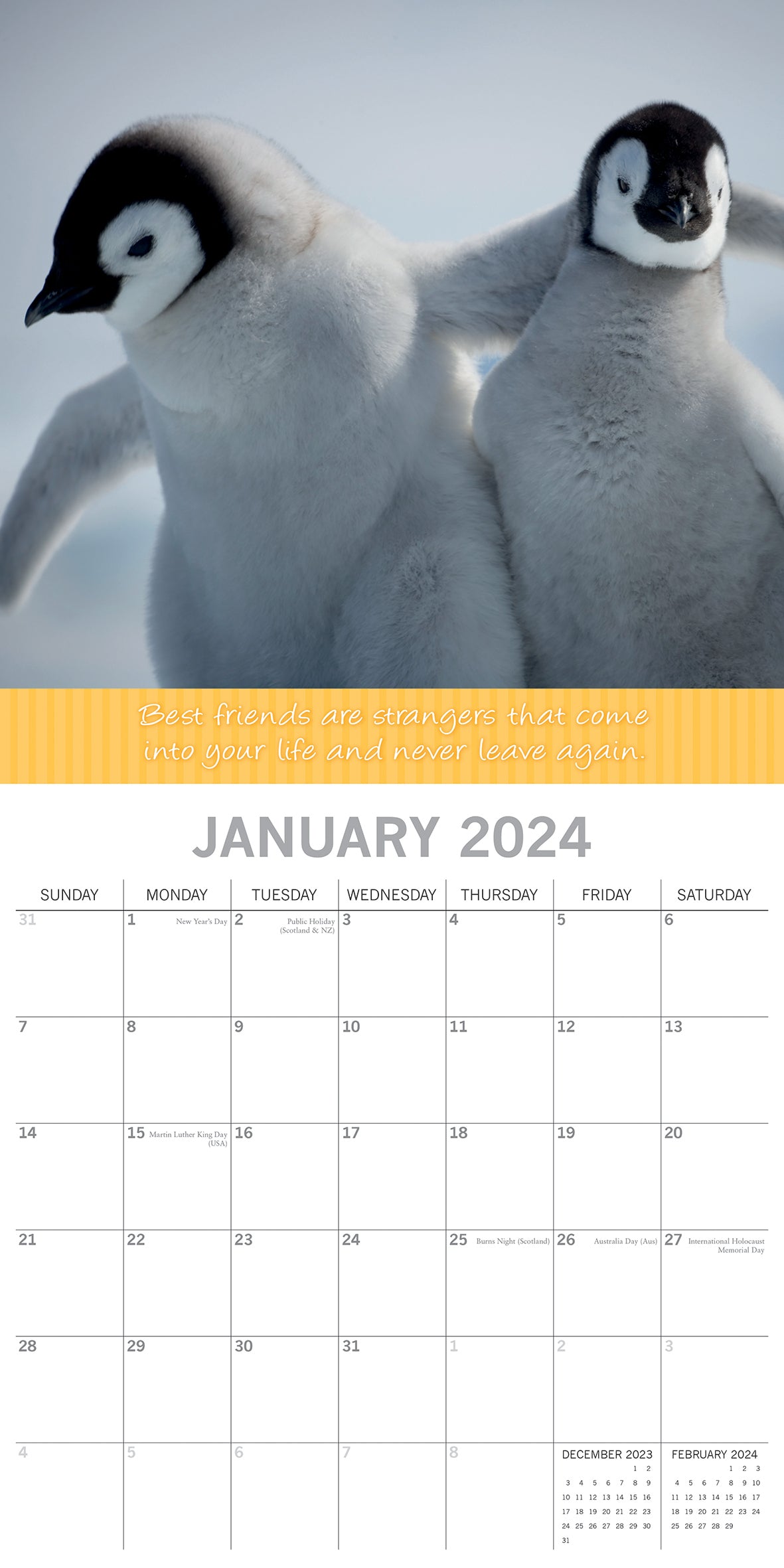 Best Friends - 2024 Square Wall Calendar Pets Animals 16 Months Premium Planner V474-615357