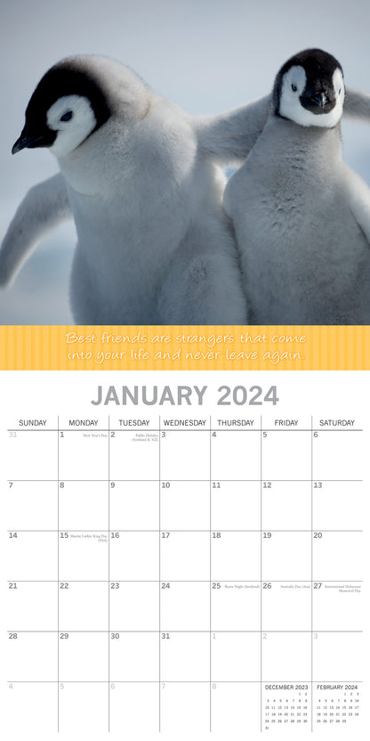 Best Friends - 2024 Square Wall Calendar Pets Animals 16 Months Premium Planner V474-615357