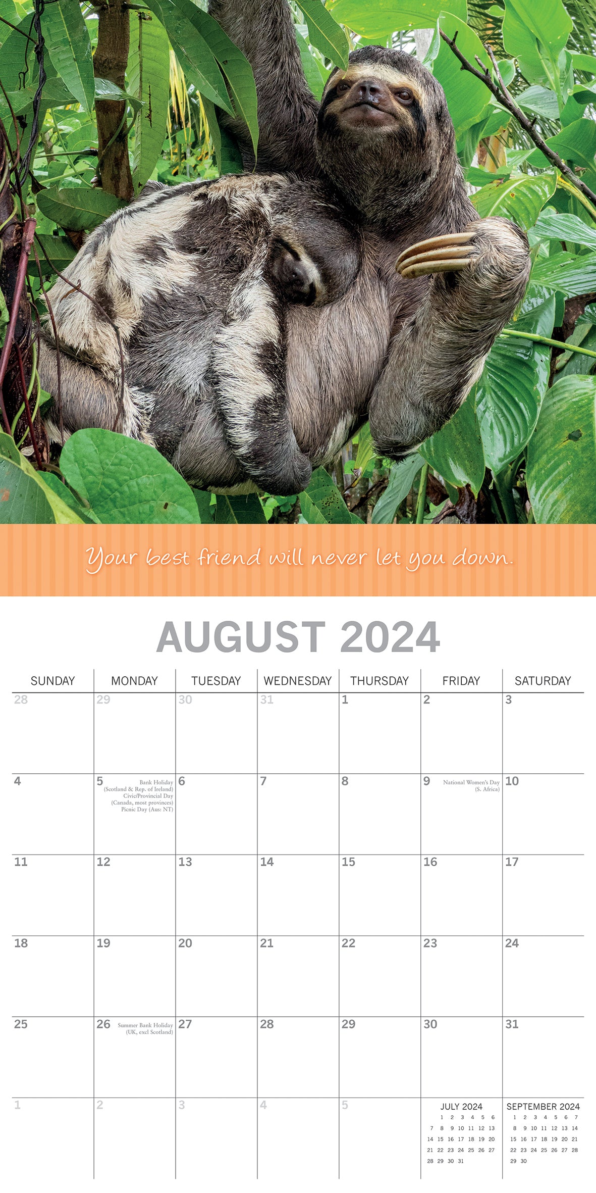 Best Friends - 2024 Square Wall Calendar Pets Animals 16 Months Premium Planner V474-615357