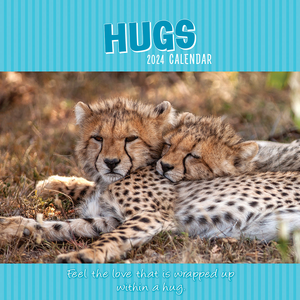 Hugs - 2024 Square Wall Calendar Pets Animals 16 Months Premium Planner New Year V474-615358