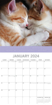 Hugs - 2024 Square Wall Calendar Pets Animals 16 Months Premium Planner New Year V474-615358