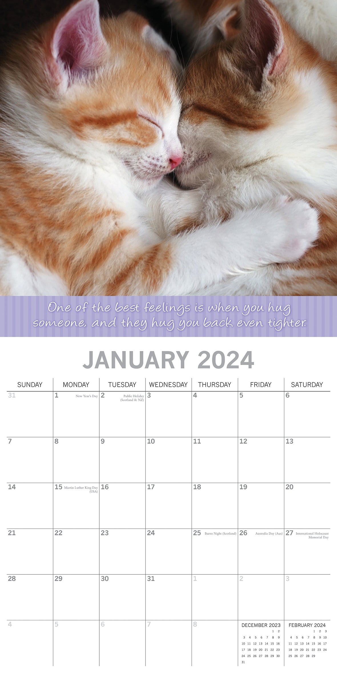 Hugs - 2024 Square Wall Calendar Pets Animals 16 Months Premium Planner New Year V474-615358
