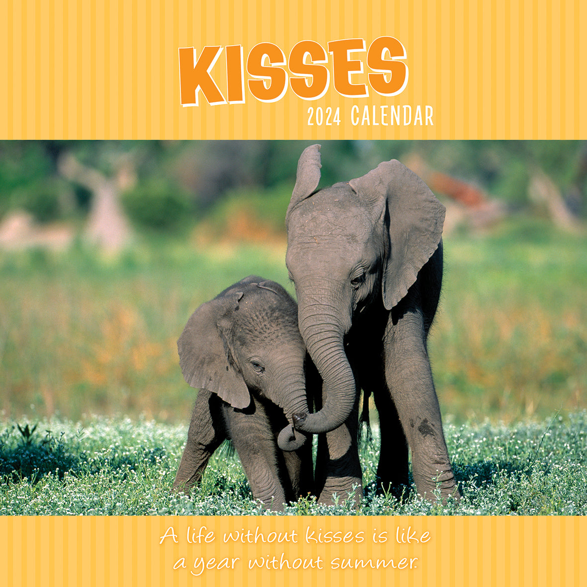 Kisses 2024 Square Wall Calendar Pets Animals 16 Months Premium Planner New Year V474-615359