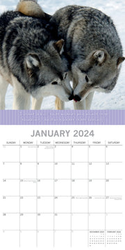 Kisses 2024 Square Wall Calendar Pets Animals 16 Months Premium Planner New Year V474-615359
