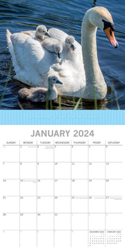Mother's Love - 2024 Square Wall Calendar Pets Animals 16 Months Premium Planner V474-615360