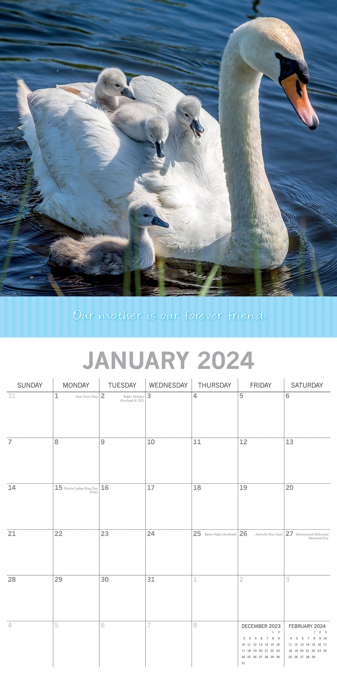 Mother's Love - 2024 Square Wall Calendar Pets Animals 16 Months Premium Planner V474-615360