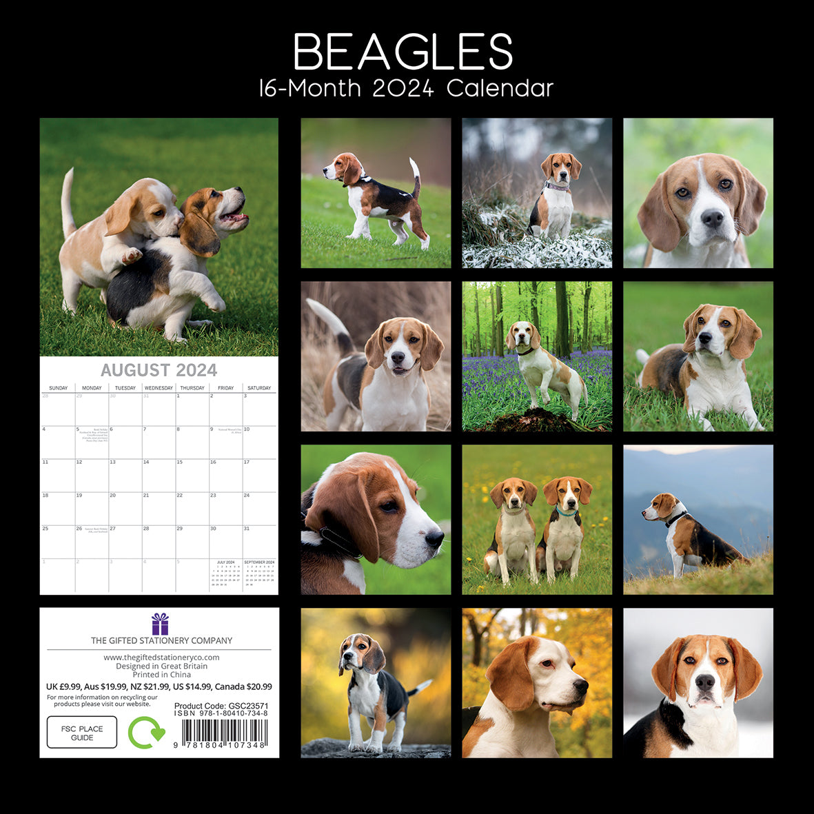 Beagles - 2024 Square Wall Calendar Pets Dog 16 Months Premium Planner New Year V474-615361