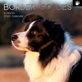 Border Collies - 2024 Square Wall Calendar Pets Dog 16 Months Premium Planner V474-615362