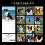 Border Collies - 2024 Square Wall Calendar Pets Dog 16 Months Premium Planner V474-615362
