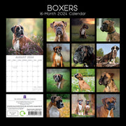 Boxers - 2024 Square Wall Calendar Pets Dog 16 Months Premium Planner New Year V474-615363