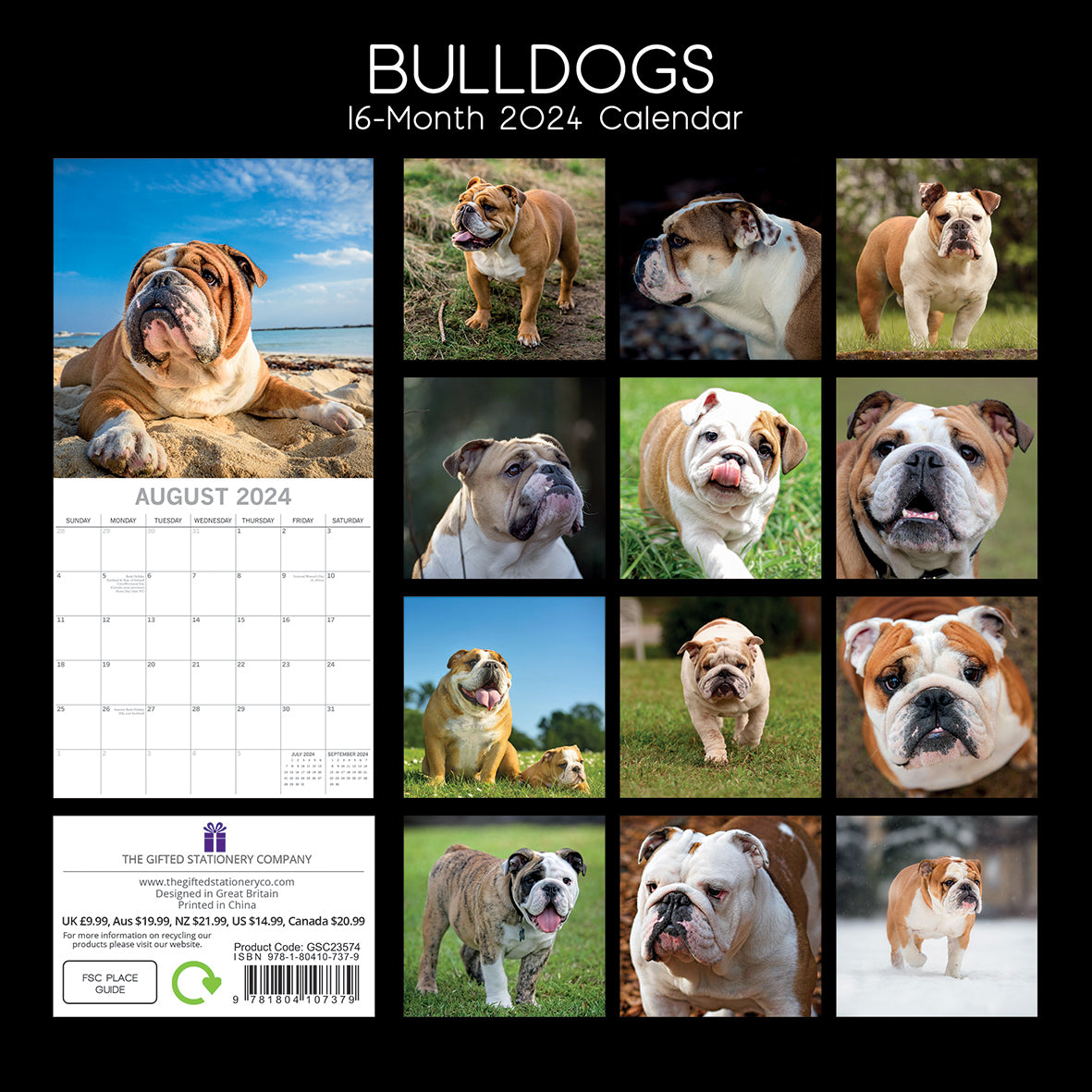 Bulldogs - 2024 Square Wall Calendar Pets Dog 16 Months Premium Planner New Year V474-615364
