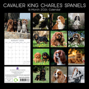 Cavalier King Charles Spaniels - 2024 Square Wall Calendar Dog 16 Months Planner V474-615365