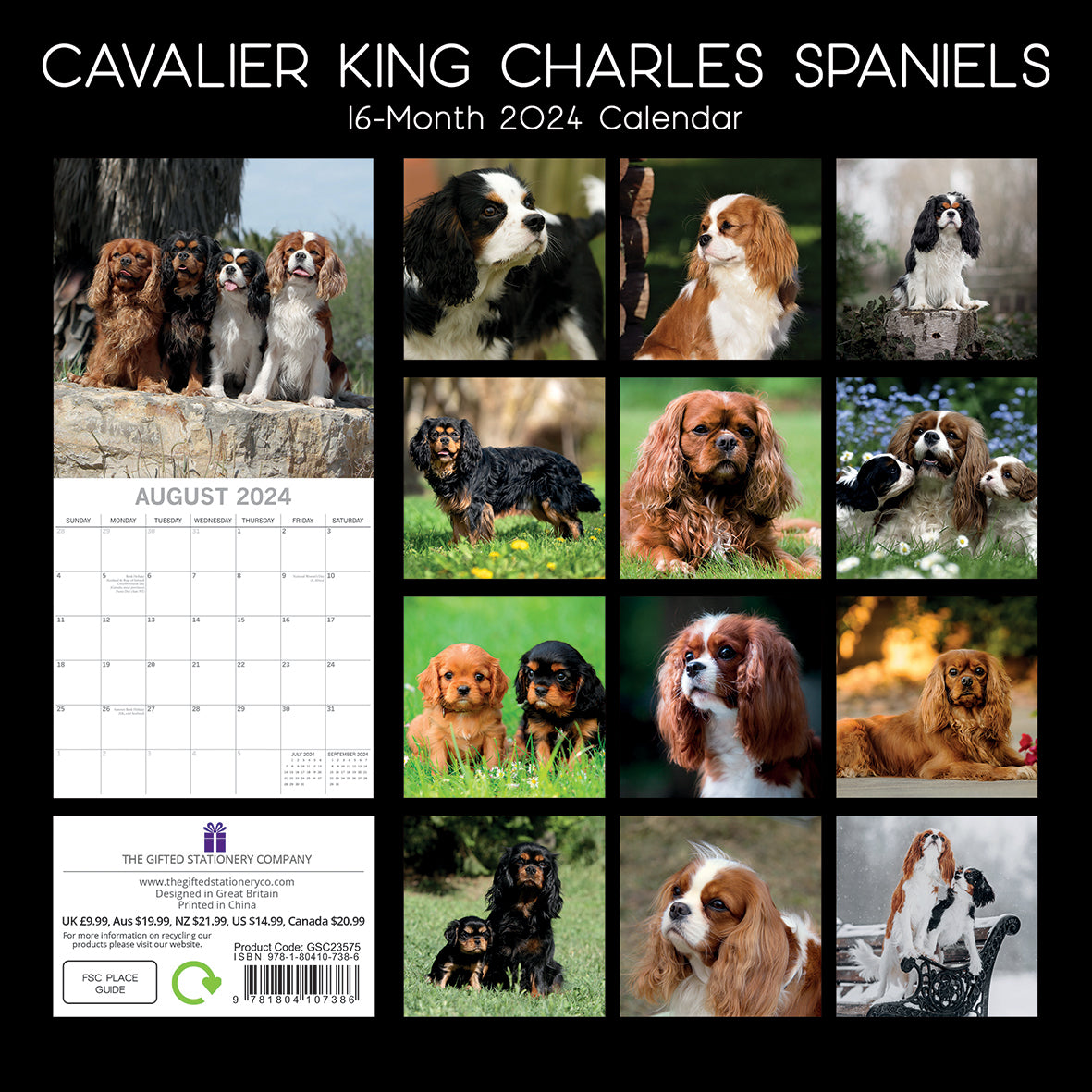 Cavalier King Charles Spaniels - 2024 Square Wall Calendar Dog 16 Months Planner V474-615365