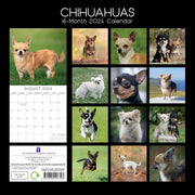Chihuahuas 2024 Square Wall Calendar Pets Dog 16 Months Premium Planner New Year V474-615366