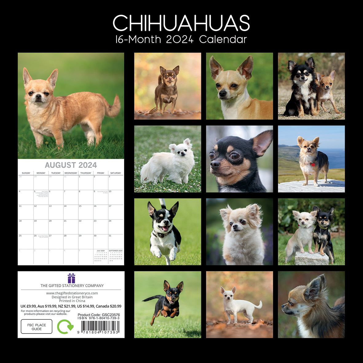 Chihuahuas 2024 Square Wall Calendar Pets Dog 16 Months Premium Planner New Year V474-615366