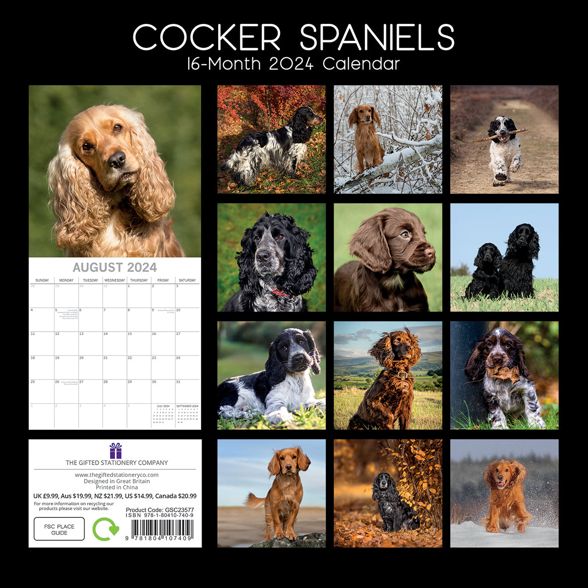 Cocker Spaniels - 2024 Square Wall Calendar Pets Dog 16 Months Premium Planner V474-615367
