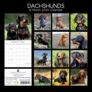 Dachshunds 2024 Square Wall Calendar Pets Dog 16 Months Premium Planner New Year V474-615368