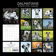 Dalmatians 2024 Square Wall Calendar Pets Dog 16 Months Premium Planner New Year V474-615369