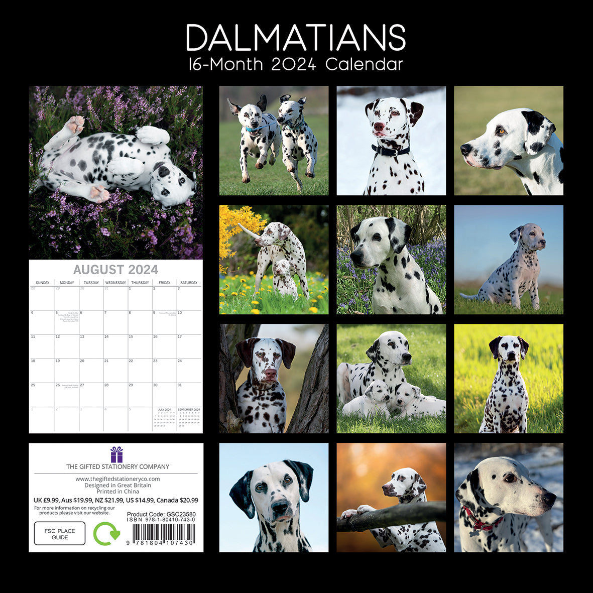 Dalmatians 2024 Square Wall Calendar Pets Dog 16 Months Premium Planner New Year V474-615369