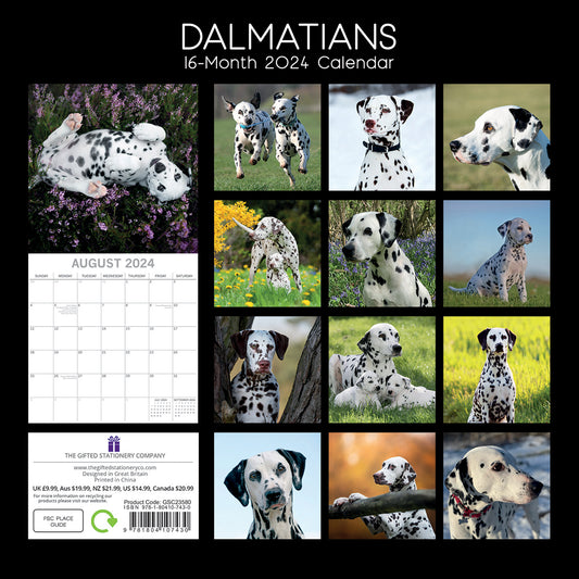 Dalmatians 2024 Square Wall Calendar Pets Dog 16 Months Premium Planner New Year V474-615369