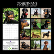 Dobermans - 2024 Square Wall Calendar Pets Dog 16 Month Premium Planner New Year V474-615370