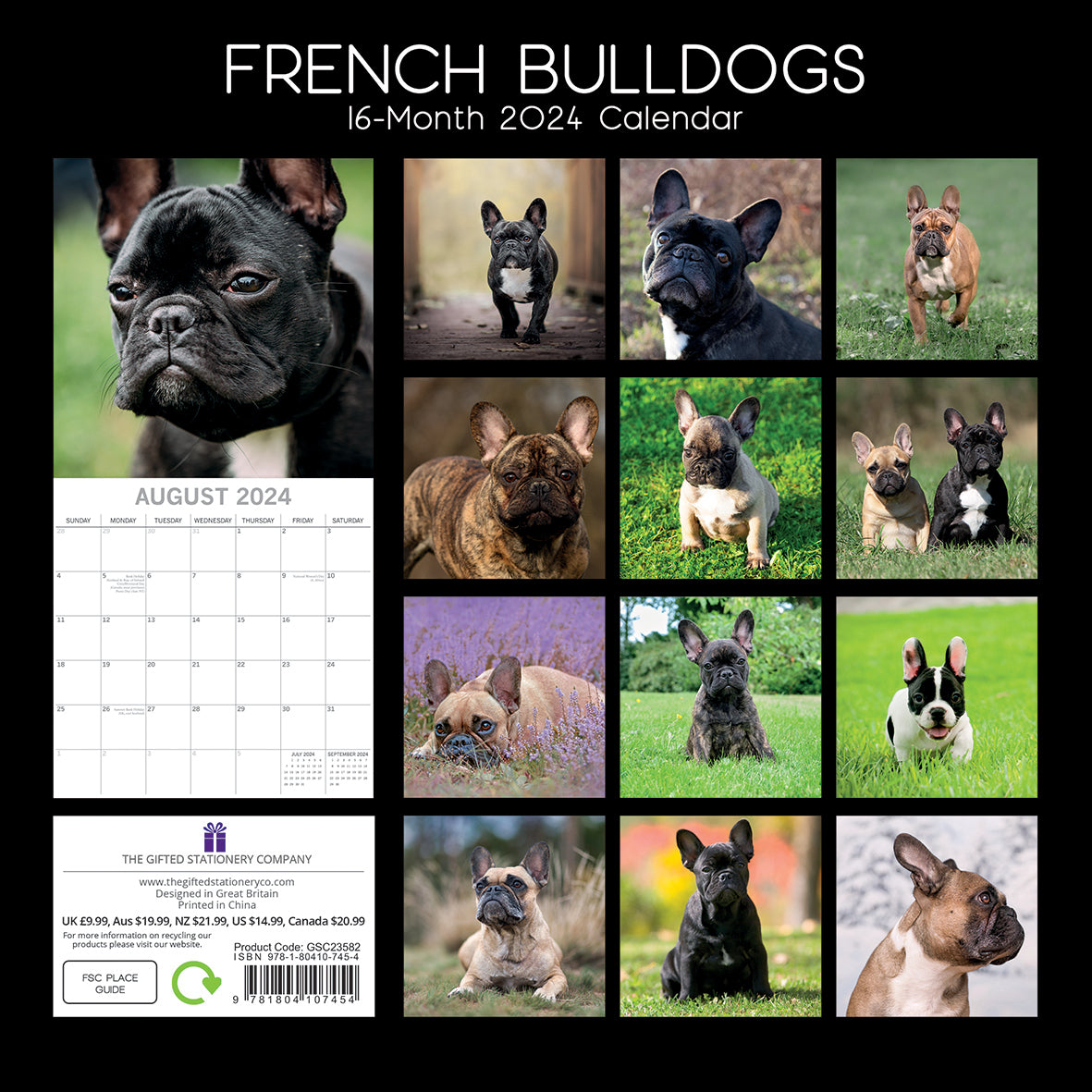 French Bulldogs - 2024 Square Wall Calendar Pets Dog 16 Months Premium Planner V474-615371