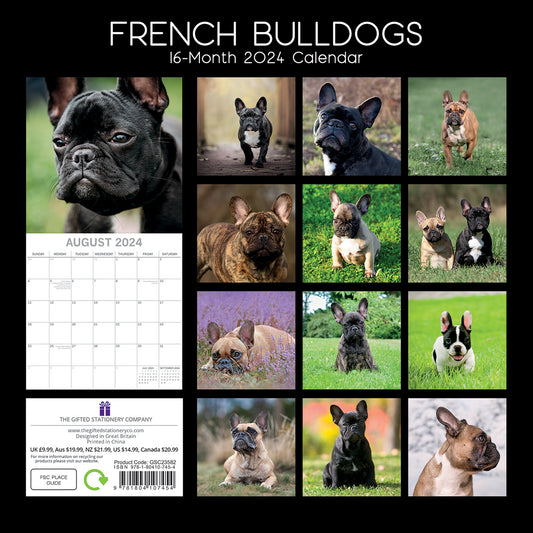 French Bulldogs - 2024 Square Wall Calendar Pets Dog 16 Months Premium Planner V474-615371