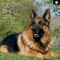 German Shepherds - 2024 Square Wall Calendar Pets Dog 16 Months Premium Planner V474-615372