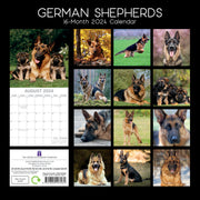 German Shepherds - 2024 Square Wall Calendar Pets Dog 16 Months Premium Planner V474-615372