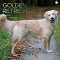Golden Retrievers - 2024 Square Wall Calendar Pets Dog 16 Months Premium Planner V474-615373