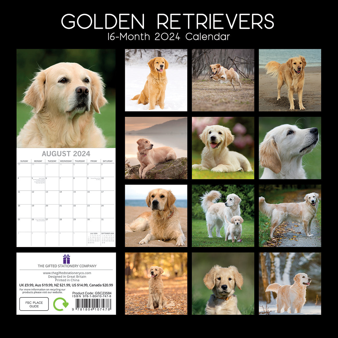 Golden Retrievers - 2024 Square Wall Calendar Pets Dog 16 Months Premium Planner V474-615373