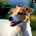 Jack Russells - 2024 Square Wall Calendar Pets Dog 16 Month Premium Planner Gift V474-615374