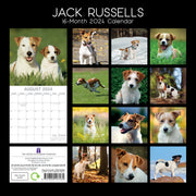 Jack Russells - 2024 Square Wall Calendar Pets Dog 16 Month Premium Planner Gift V474-615374