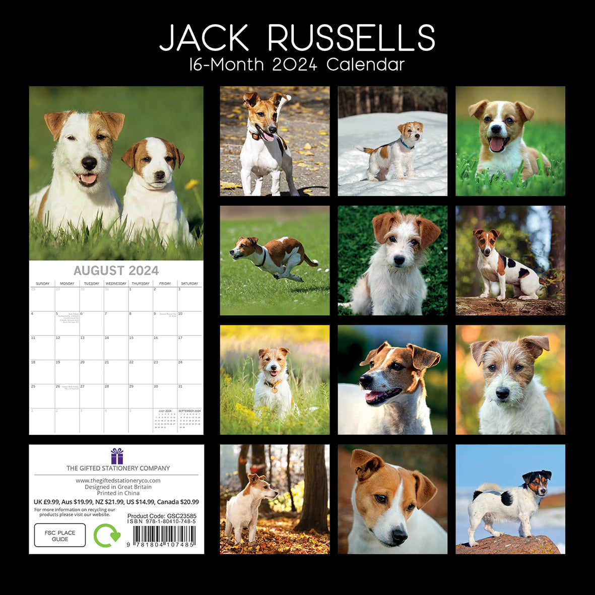 Jack Russells - 2024 Square Wall Calendar Pets Dog 16 Month Premium Planner Gift V474-615374
