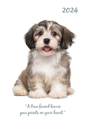 Adorable Dogs 2024 A5 Padded Cover Diary Premium Planner Book Xmas New Year Gift V474-617557