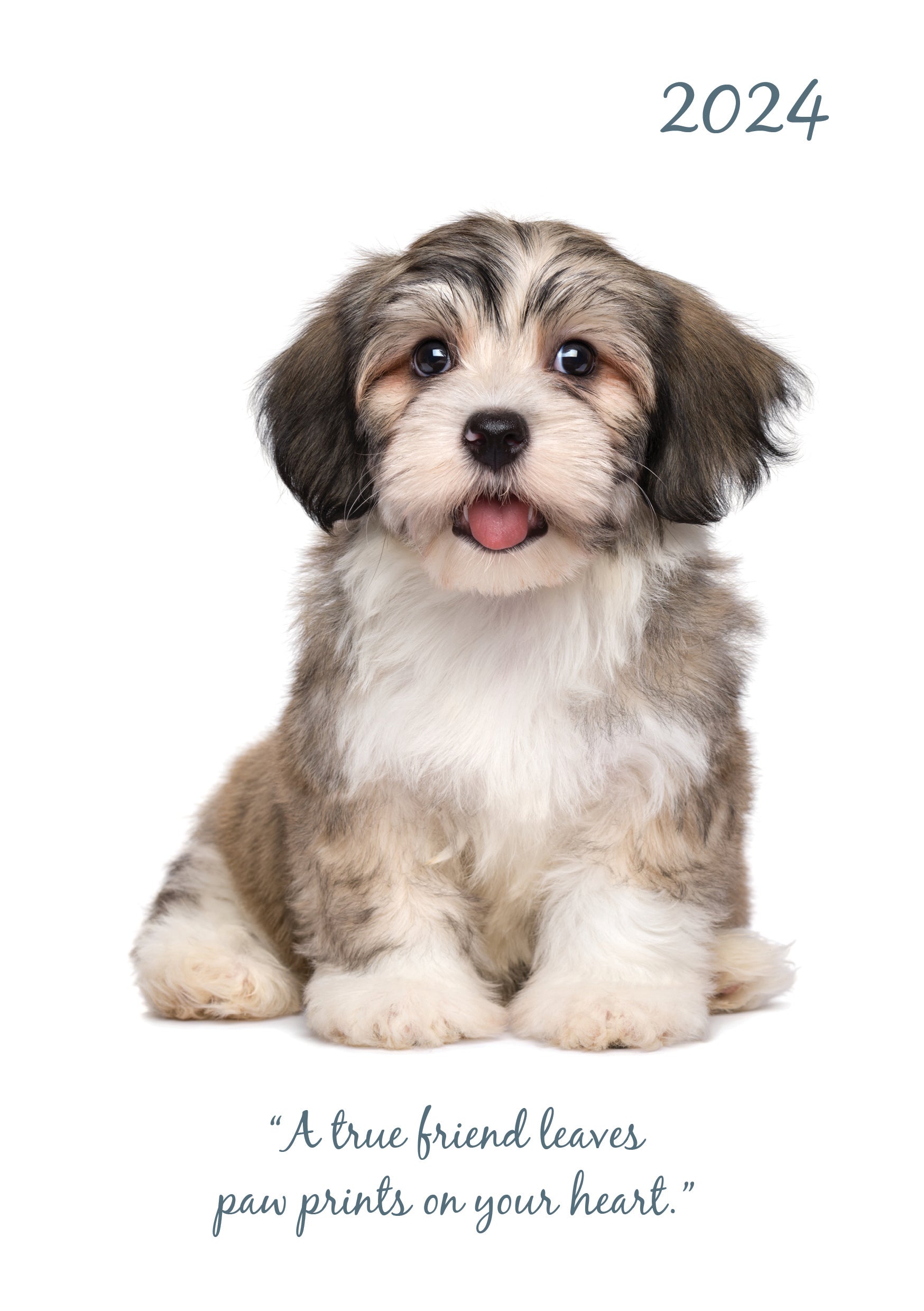 Adorable Dogs 2024 A5 Padded Cover Diary Premium Planner Book Xmas New Year Gift V474-617557