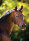 Horses - 2024 A5 Padded Cover Diary Premium Planner Book Christmas New Year Gift V474-617563