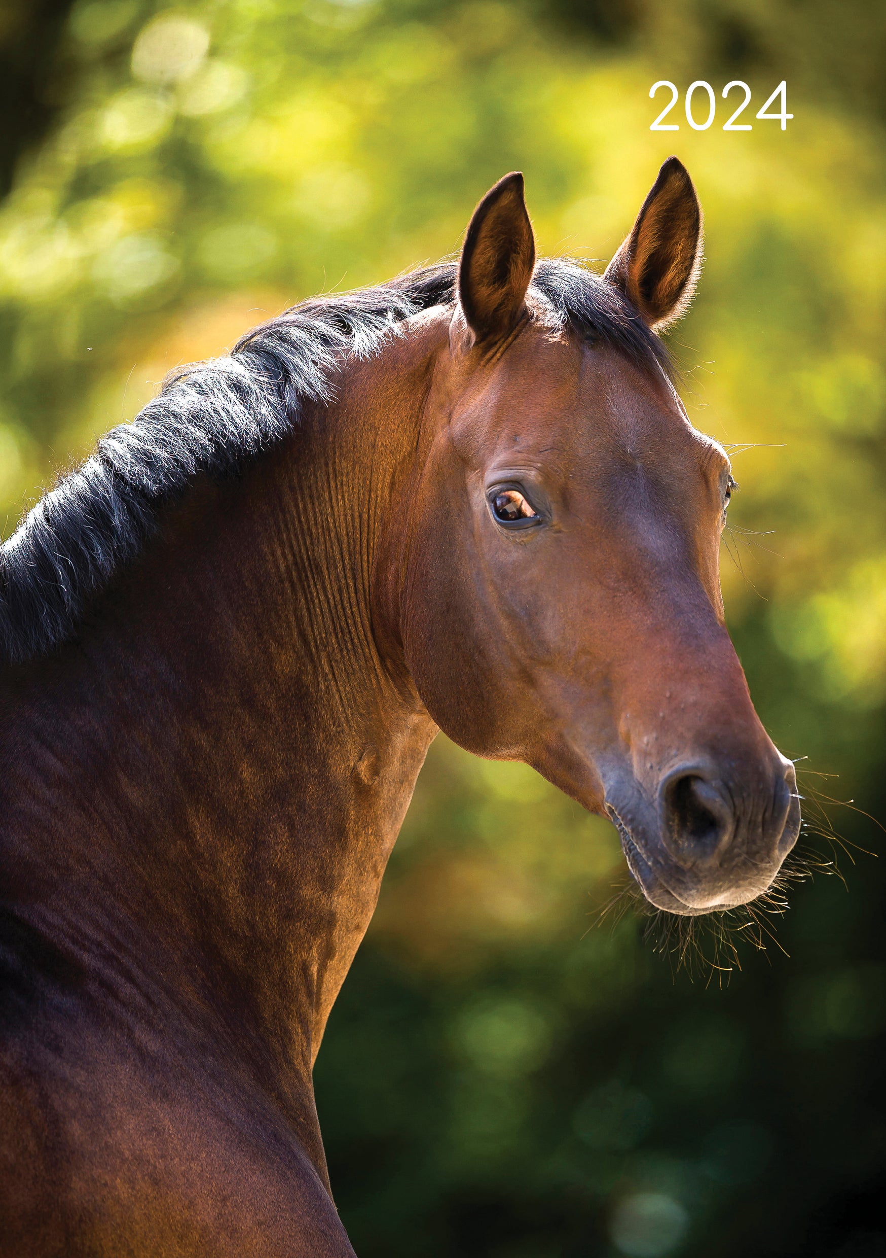 Horses - 2024 A5 Padded Cover Diary Premium Planner Book Christmas New Year Gift V474-617563