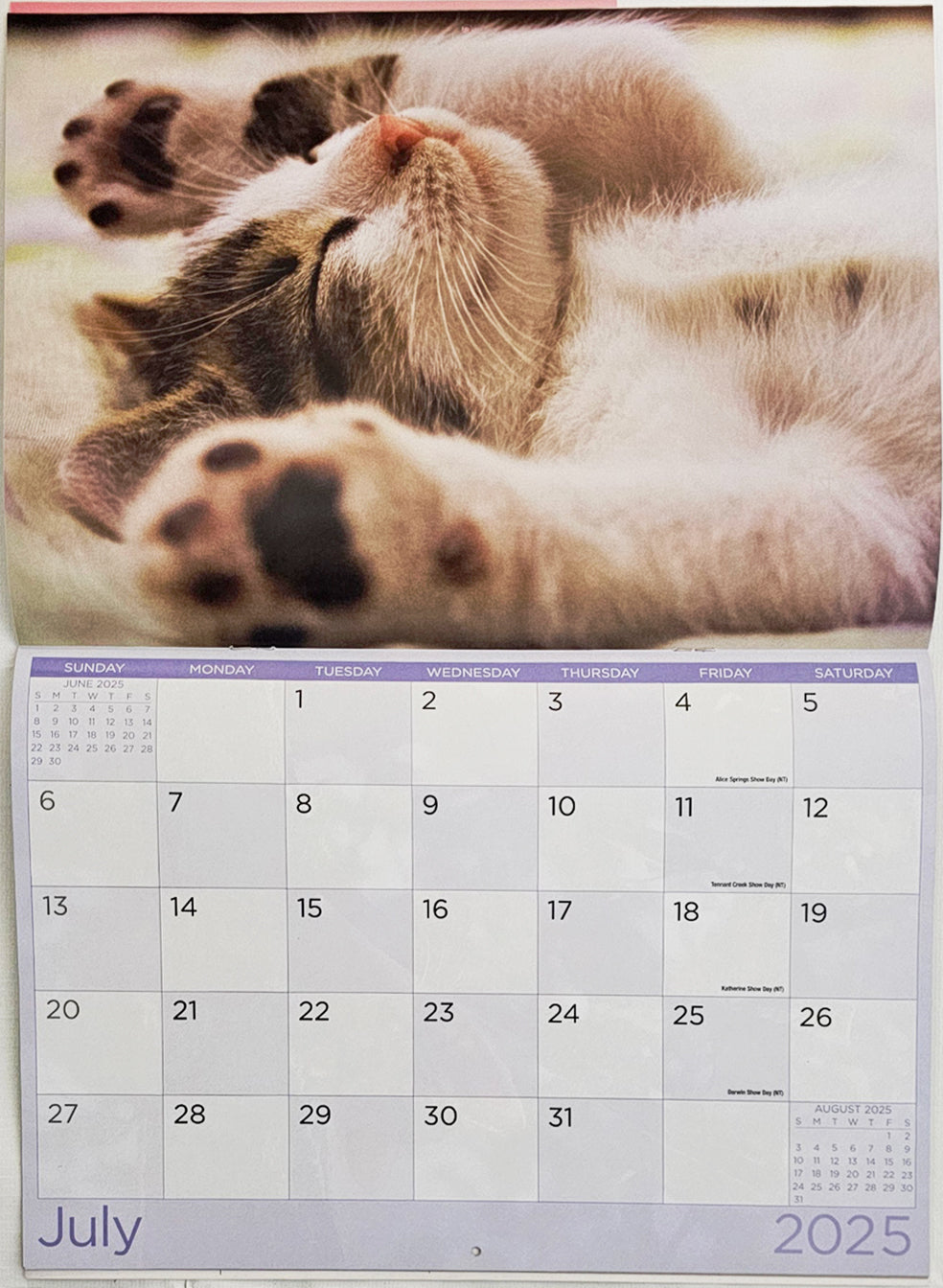 Cats And Kittens - 2025 Rectangle Wall Calendar 16 Months Hanging Animal Planner V474-685071