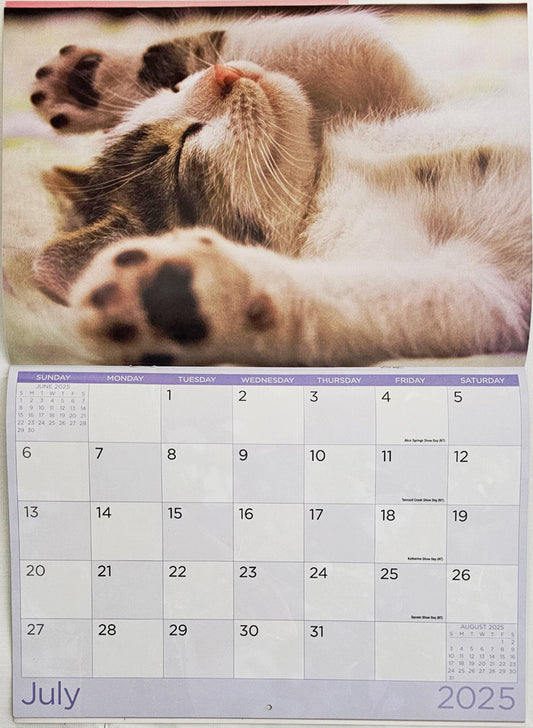Cats And Kittens - 2025 Rectangle Wall Calendar 16 Months Hanging Animal Planner V474-685071
