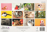 Cats And Kittens - 2025 Rectangle Wall Calendar 16 Months Hanging Animal Planner V474-685071
