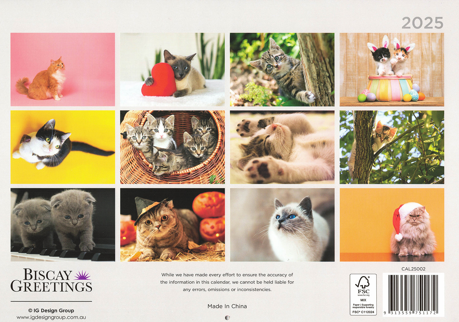 Cats And Kittens - 2025 Rectangle Wall Calendar 16 Months Hanging Animal Planner V474-685071