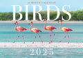Birds - 2025 Rectangle Wall Calendar 16 Months Hanging Animal Planner New Year V474-685083