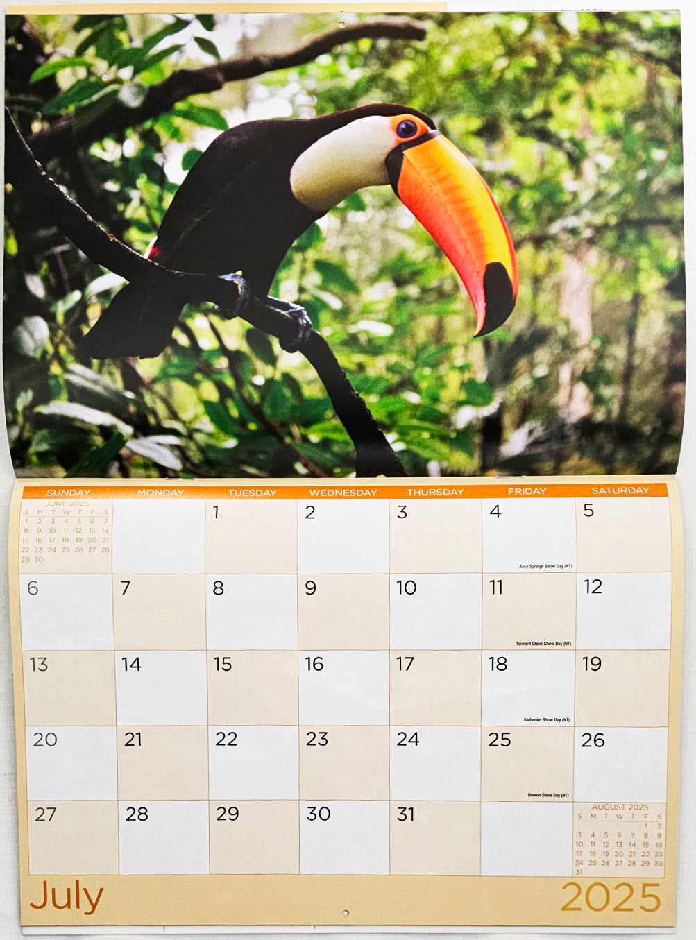 Birds - 2025 Rectangle Wall Calendar 16 Months Hanging Animal Planner New Year V474-685083