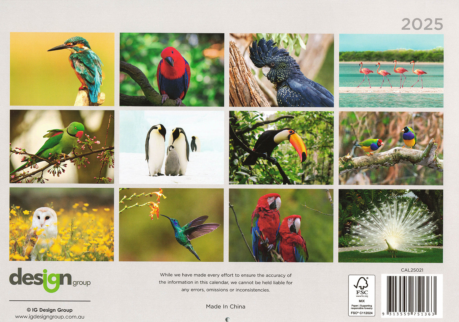 Birds - 2025 Rectangle Wall Calendar 16 Months Hanging Animal Planner New Year V474-685083