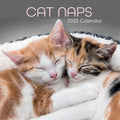 Cat Naps - 2025 Square Wall Calendar Pets Animals 16 Months Premium Planner Gift V474-689603