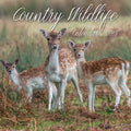 Country Wildlife - 2025 Square Wall Calendar Animals 16 Months Premium Planner V474-689607