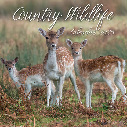 Country Wildlife - 2025 Square Wall Calendar Animals 16 Months Premium Planner V474-689607
